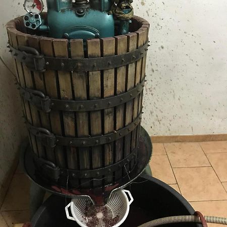 Agriturismo Il Melo Valfabbrica Екстер'єр фото