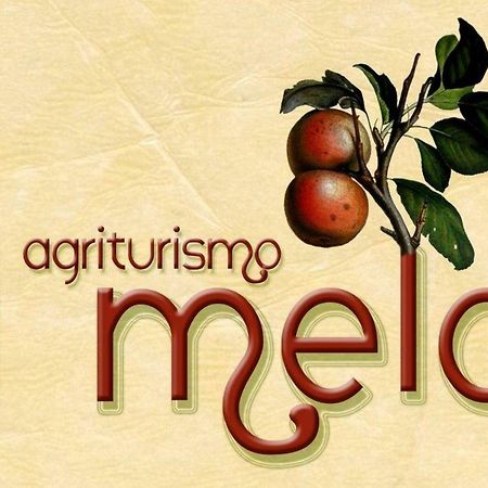 Agriturismo Il Melo Valfabbrica Екстер'єр фото