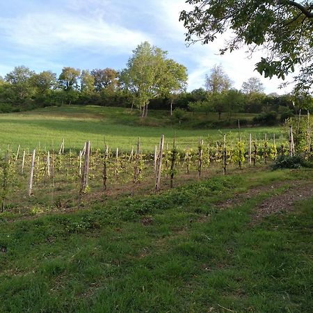 Agriturismo Il Melo Valfabbrica Екстер'єр фото