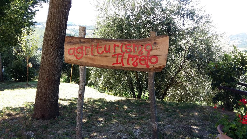 Agriturismo Il Melo Valfabbrica Екстер'єр фото