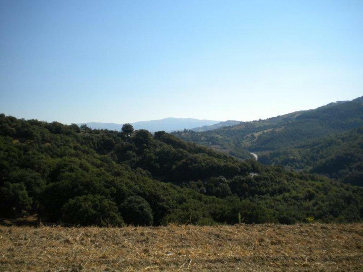 Agriturismo Il Melo Valfabbrica Екстер'єр фото