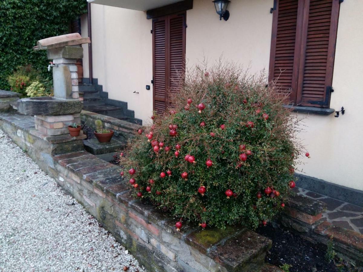 Agriturismo Il Melo Valfabbrica Екстер'єр фото