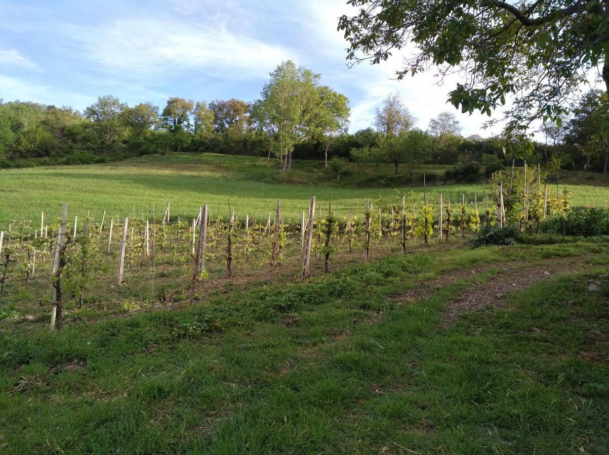Agriturismo Il Melo Valfabbrica Екстер'єр фото